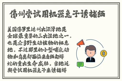 婬荡奶婬H肉承欲欢动视频